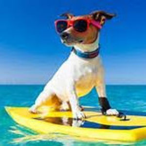 Meet your Posher, Christian